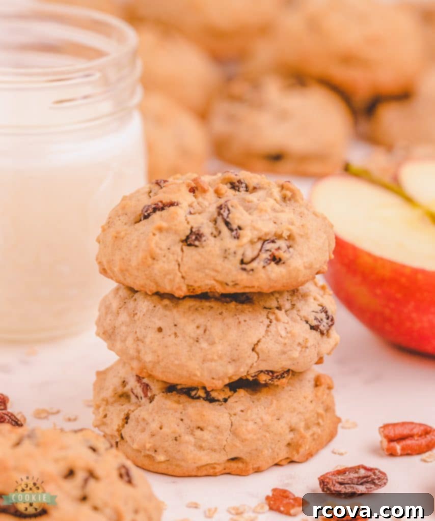 Wholesome Applesauce Oat Treats 9 raisin applesauce oatmeal cookies in a stack