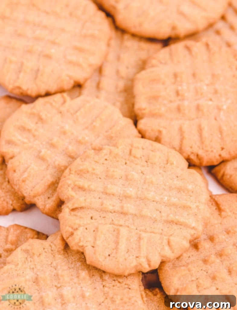 Grandma's Legendary Peanut Butter Cookies 3 Old fashioned peanut butter cookies recipe for soft and chewy treats