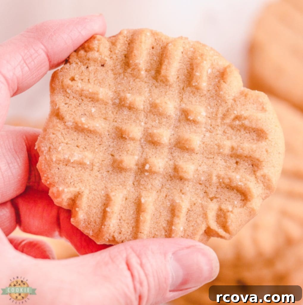 Grandma's Legendary Peanut Butter Cookies 6 Peanut butter cookies criss-crossed with sugar