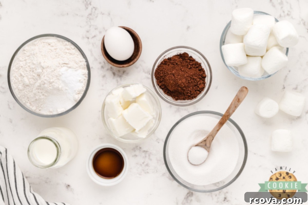 Gooey Chocolate Marshmallow Cookies 4 All ingredients laid out for making Chocolate Marshmallow Cookies