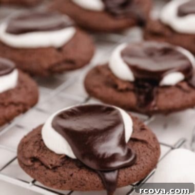 Gooey Chocolate Marshmallow Cookies 6 Delicious Chocolate Marshmallow Cookies with melted marshmallow and fudge frosting