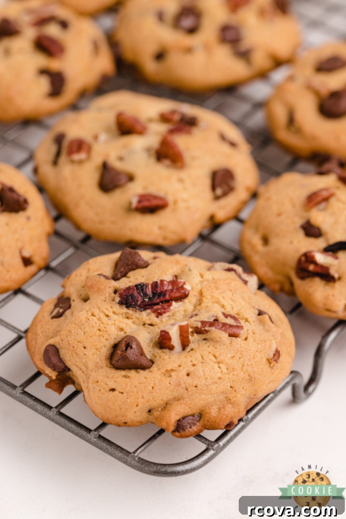 Maple Honey Kissed Chocolate Chip Cookies 6 Honey Maple Chocolate Chip Cookies