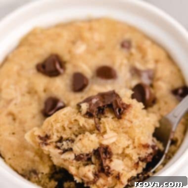 Easy Microwave Oatmeal Chocolate Chip Cookies 7 Microwave Oatmeal Chocolate Chip Cookies