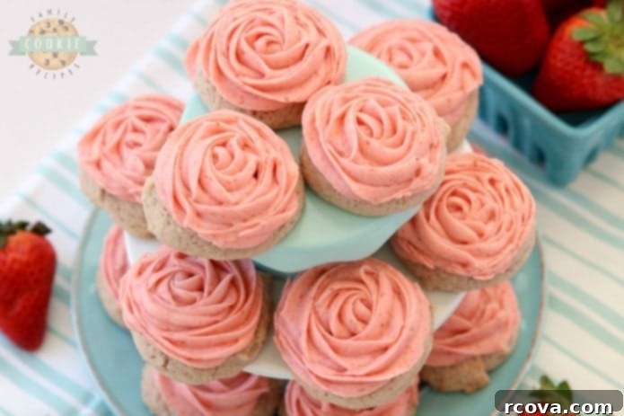 Perfectly Sweet Sugar Cookie Recipes 13 Frosted Strawberry Cookies made by adding fresh strawberries to a simple sugar cookie dough. No rolling out or chilling necessary! Just bake and top with my amazing strawberry buttercream frosting. Easy Strawberry Cookies piped with a super simple pink rose, so they taste incredible and they’re pretty too!