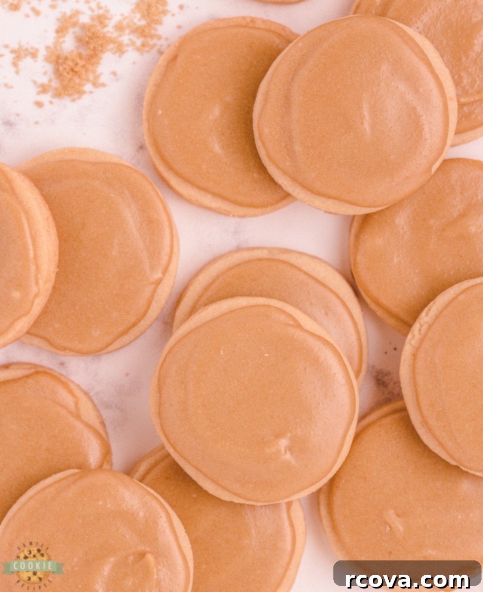 Perfectly Sweet Sugar Cookie Recipes 14 round brown sugar cookies