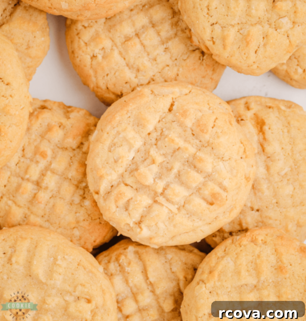 Perfectly Sweet Sugar Cookie Recipes 5 img 1102 4