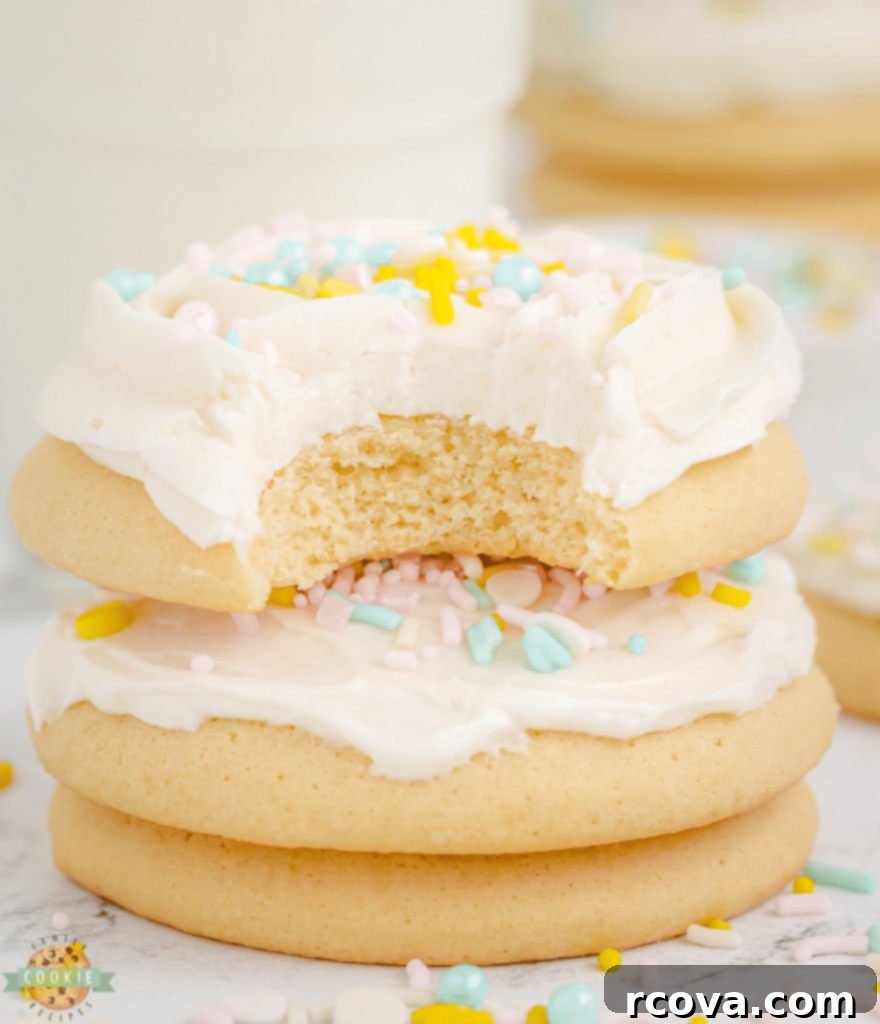 Perfectly Sweet Sugar Cookie Recipes 7 img 1102 6