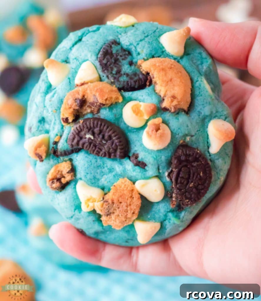 Cookie Monster Approved Cookies 4 jumbo cookies with blue coloring