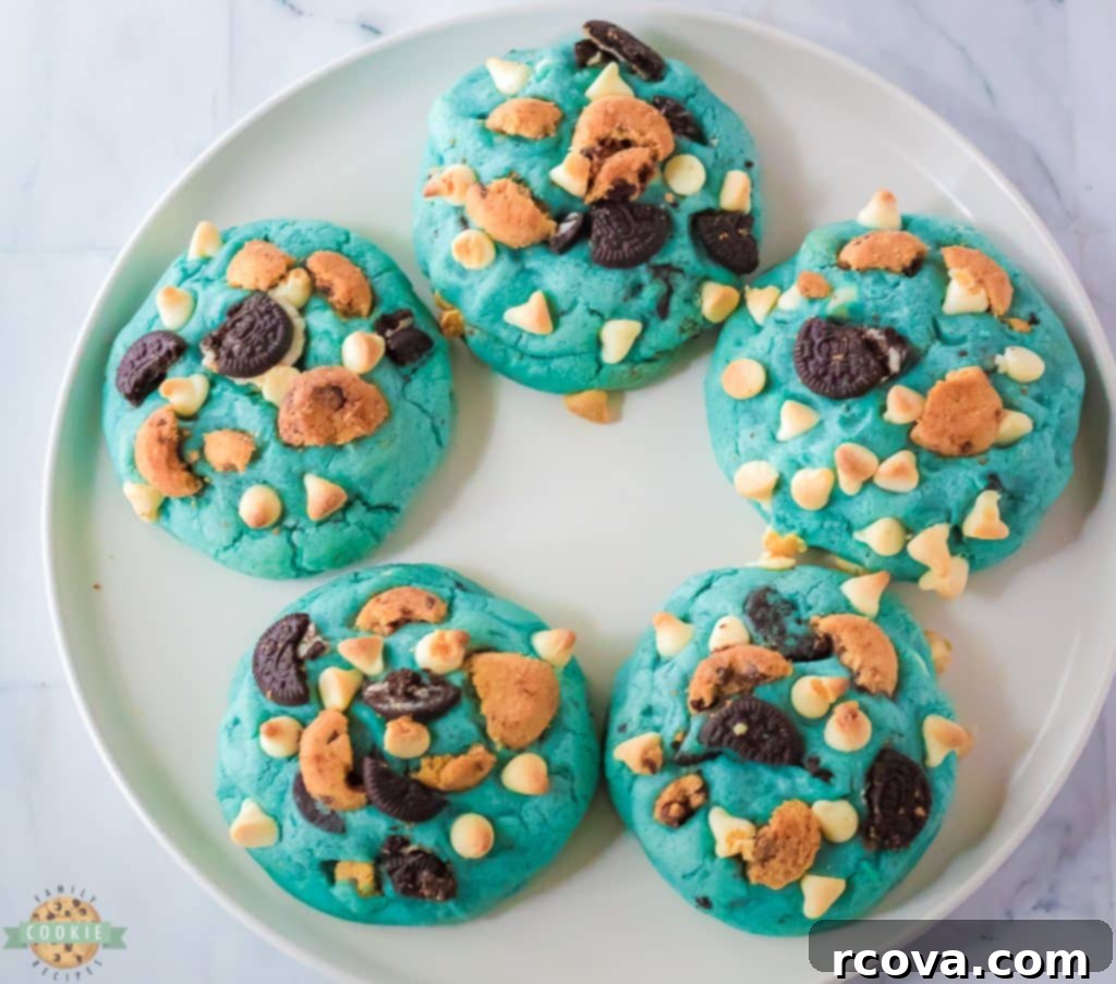 Cookie Monster Approved Cookies 5 blue cookies for cookie monster on a plate