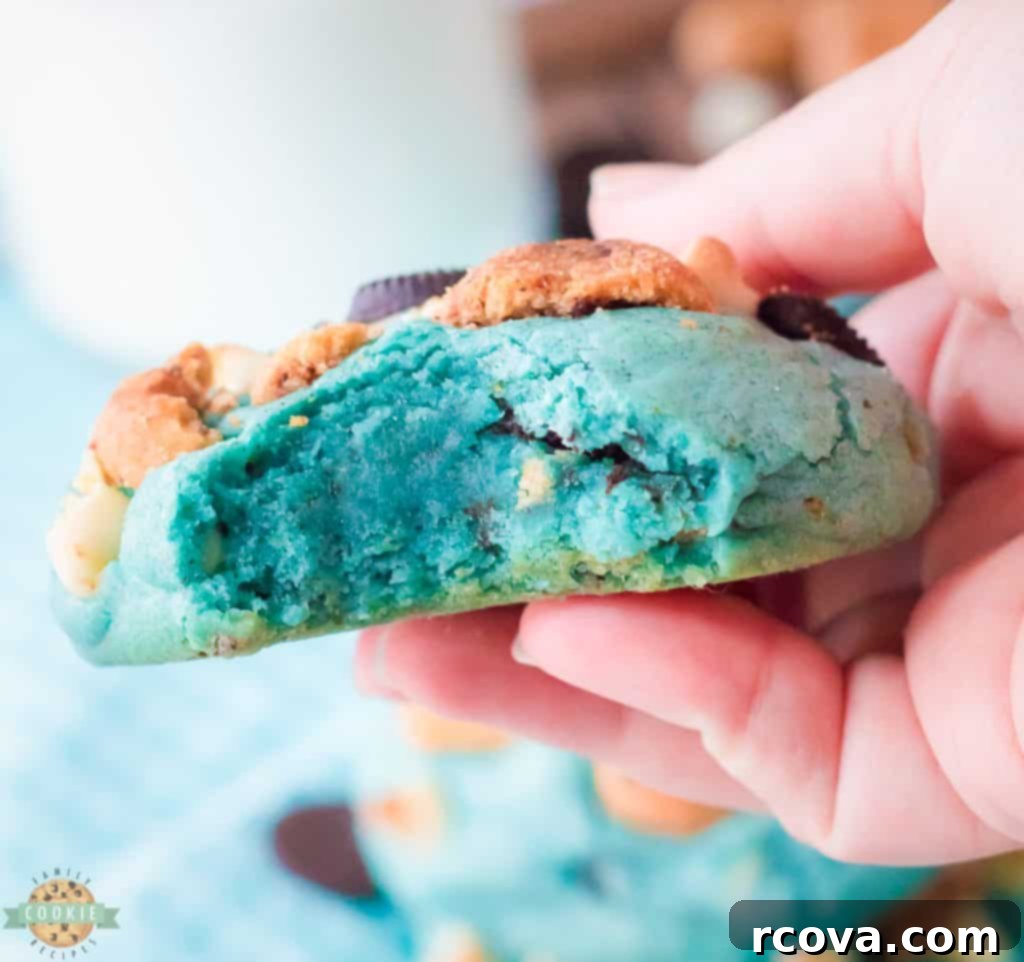 Cookie Monster Approved Cookies 7 cookie monster cookie with a bite taken out