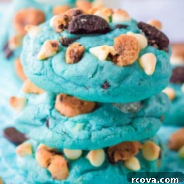 Cookie Monster Approved Cookies 9 blue cookie monster cookies