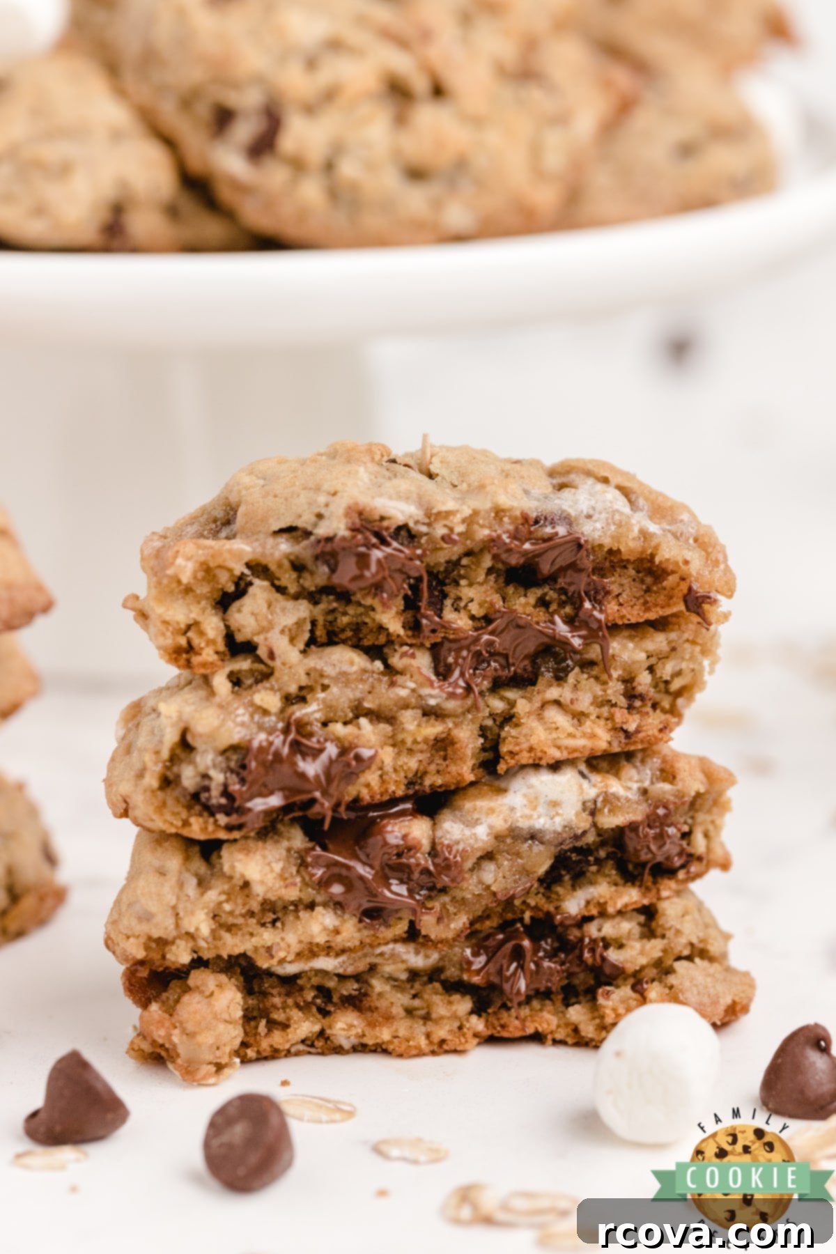 Toasted Marshmallow Oat Delights 5 A plate of soft and chewy oatmeal cookies with visible marshmallows and chocolate chips