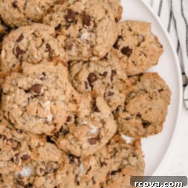 Toasted Marshmallow Oat Delights 6 Delicious S'mores Oatmeal Cookies