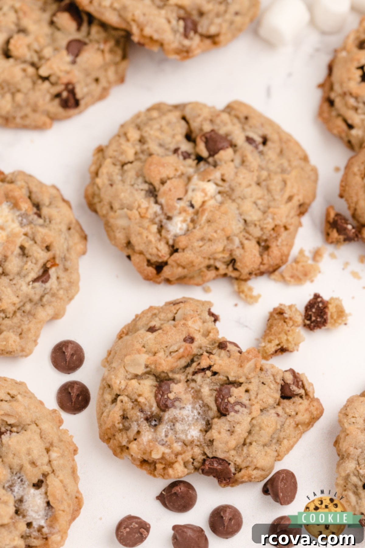 Toasted Marshmallow Oat Delights 7 Close-up of soft and chewy oatmeal cookies studded with marshmallows and chocolate chips, ready to be enjoyed.
