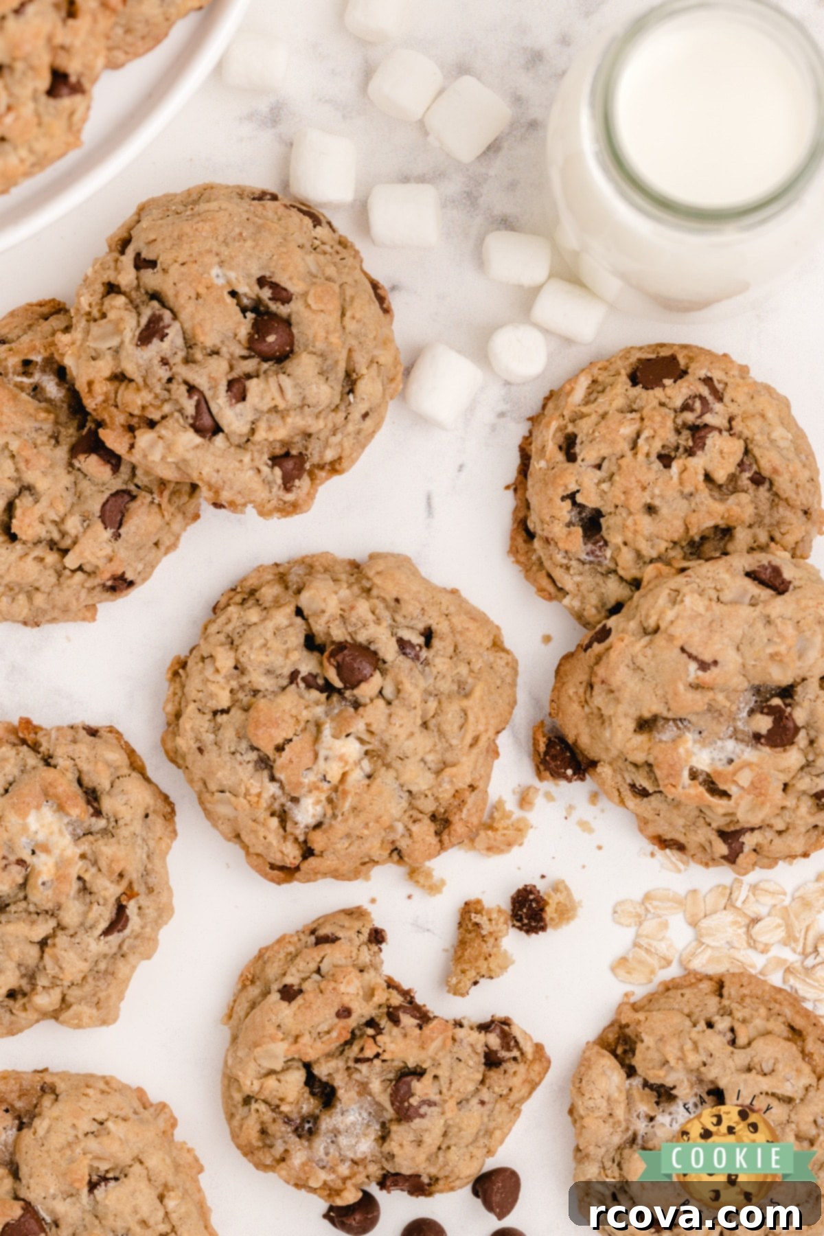Toasted Marshmallow Oat Delights 9 A single S'mores Oatmeal Cookie on a wooden surface, showing its delicious texture.