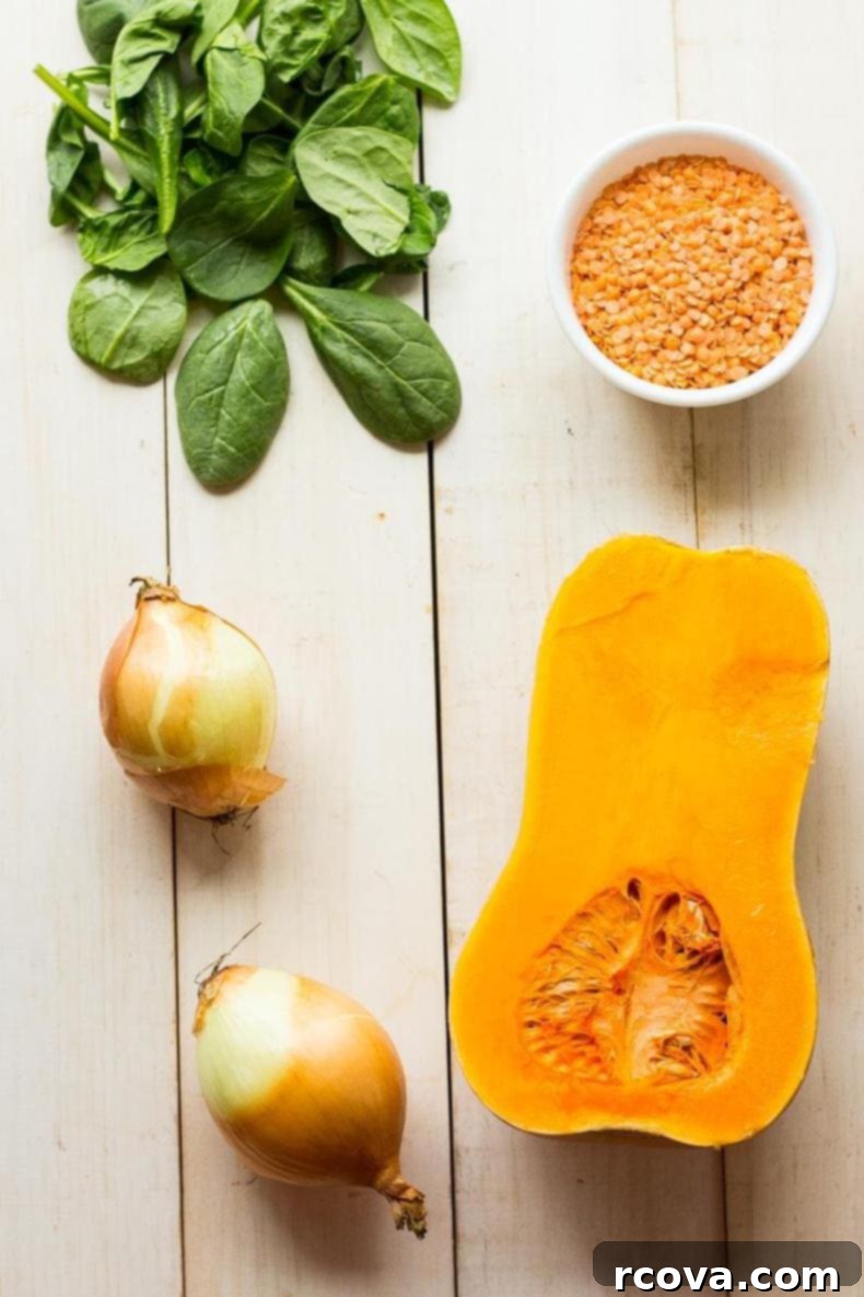 Velvety Slow Cooker Lentil Curry 4 Butternut-Squash-Dal-Red-Lentils
