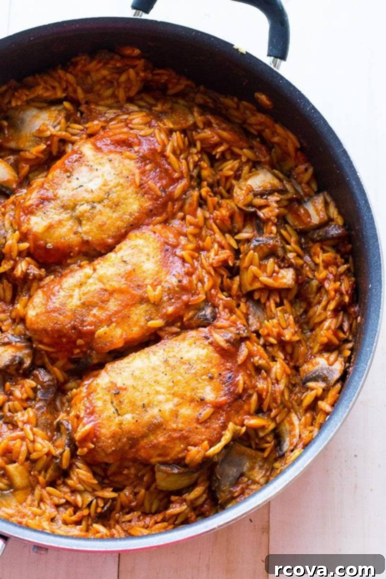 Hearty Skillet Chicken Parmesan Pasta 5 One Skillet Chicken Parmesan