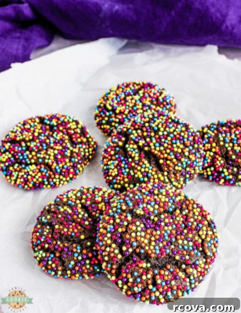 Confetti Chocolate Cookies 2 Delicious homemade chocolate cookies rolled in colorful sprinkles, ready to bake.