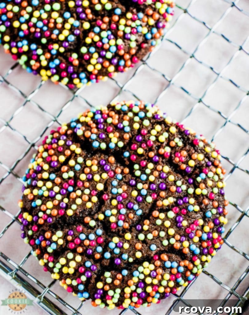 Confetti Chocolate Cookies 11 Freshly baked chocolate sprinkle cookies cooling on a wire rack.