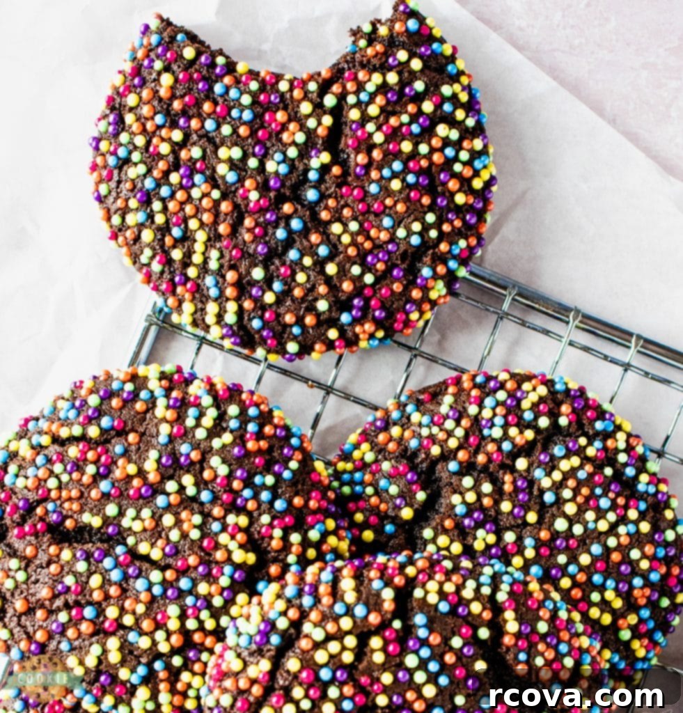 Confetti Chocolate Cookies 4 A half-eaten chocolate sprinkle cookie showing its soft, chewy interior and colorful sprinkle shell.