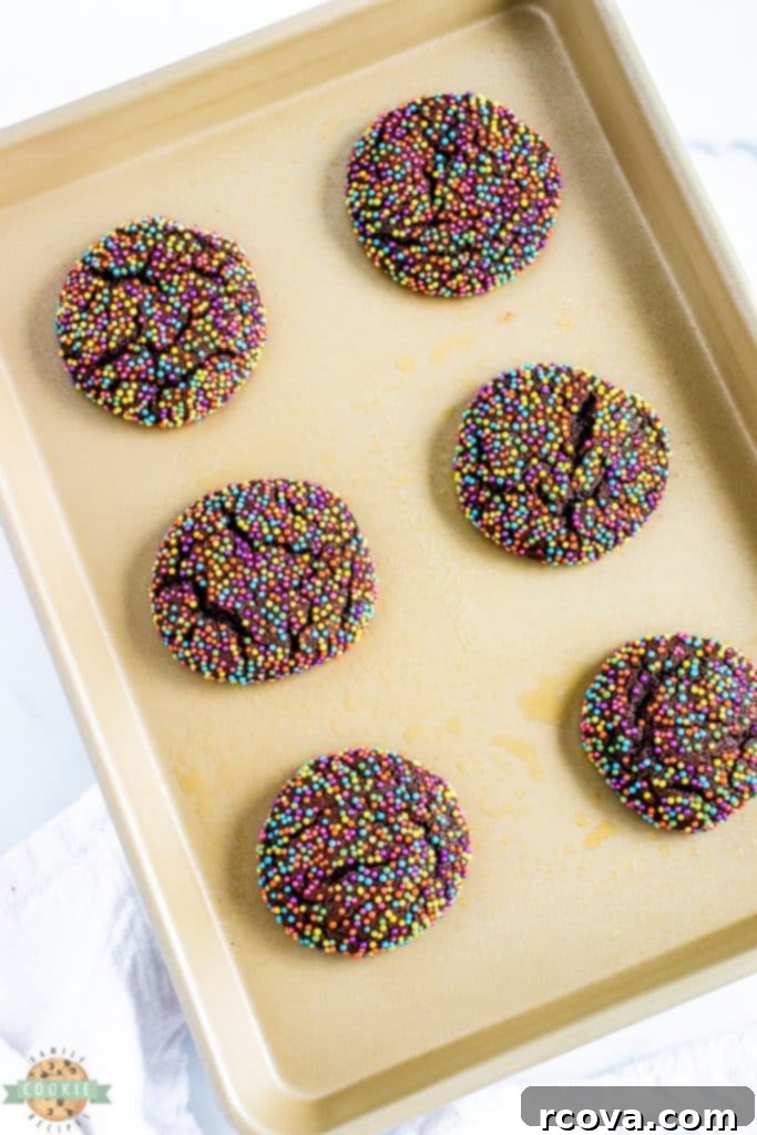 Confetti Chocolate Cookies 6 Chocolate cookie dough balls coated in colorful sprinkles on a baking sheet, ready for the oven.