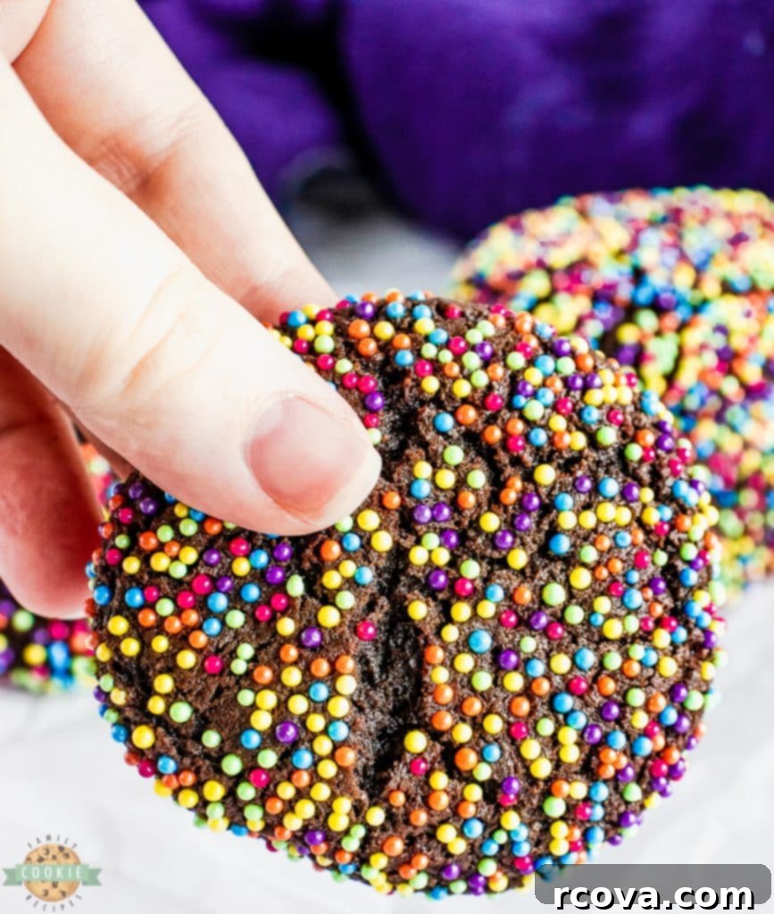 Confetti Chocolate Cookies 8 A dozen perfectly baked chocolate sprinkle cookies arranged on a cooling rack.