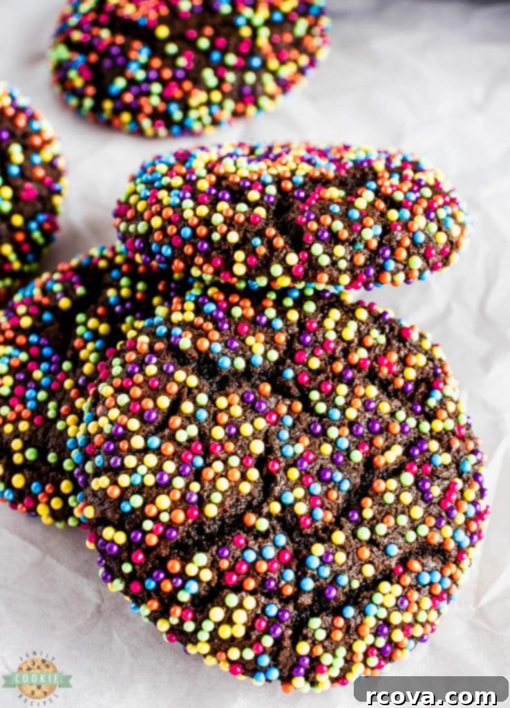 Confetti Chocolate Cookies 10 Close-up of baked chocolate sprinkle cookies on a light background.