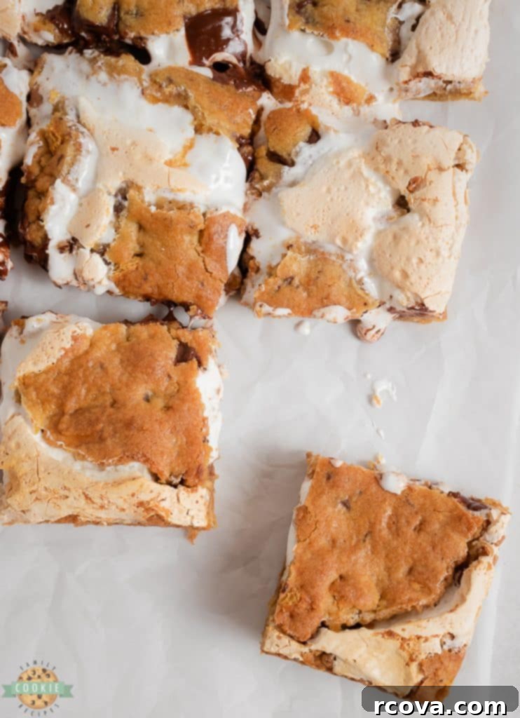 Ultimate S'mores Cookie Bars 8 img 11490 7