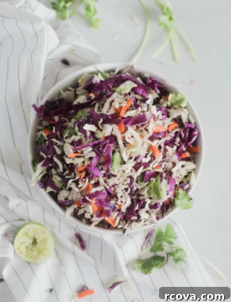 Zesty Cilantro Lime Slaw (Low-Carb) 3 Close-up view of fresh and crisp Cilantro Lime Coleslaw, highlighting the texture of shredded cabbage and vibrant green cilantro.
