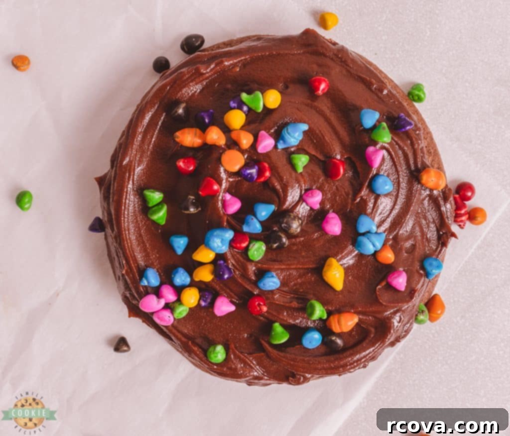 Galaxy Fudge Cookies 3 thick fudgy jumbo chocolate brownie cookie