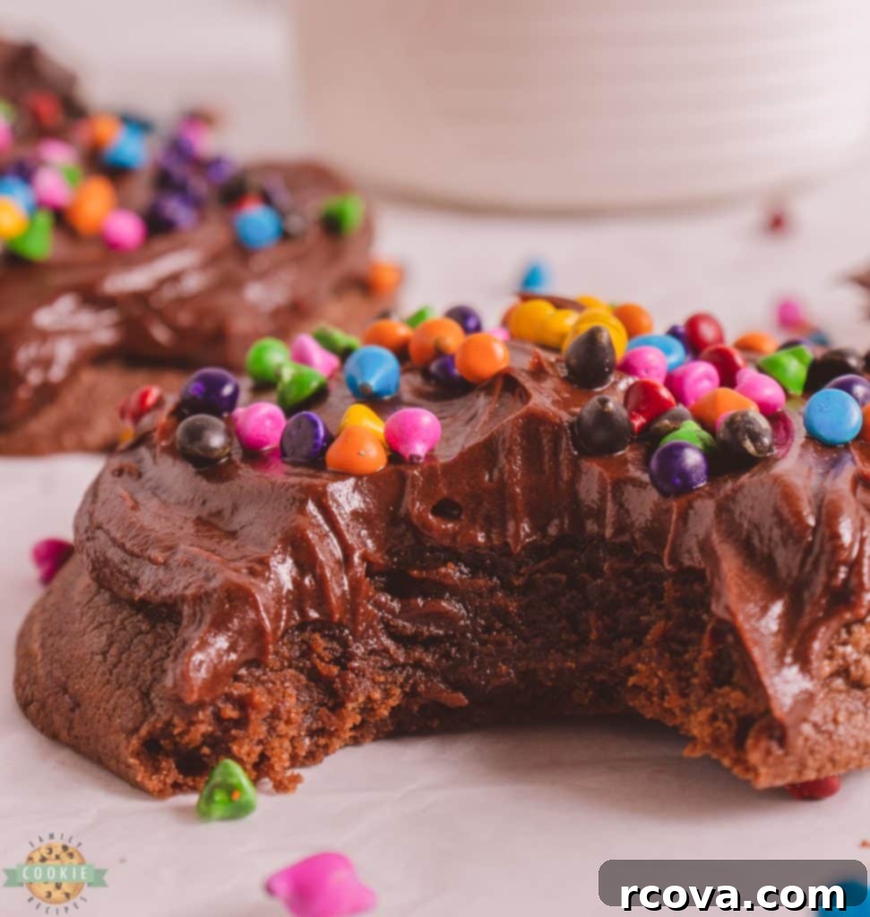 Galaxy Fudge Cookies 7 bite of a cosmic brownie cookie