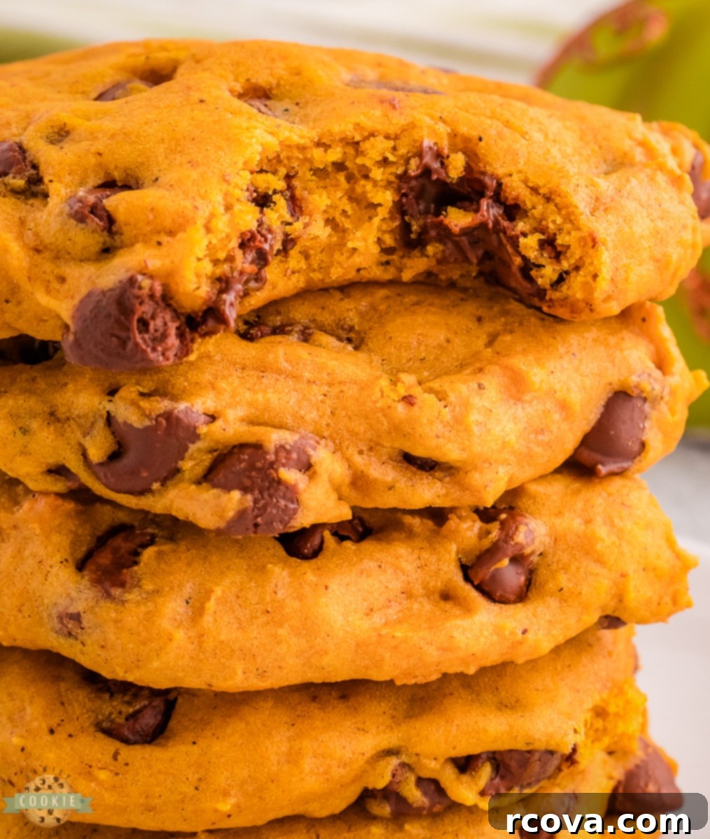 Pumpkin Spice Chocolate Chip Cookie Bliss 2 Close-up of golden brown pumpkin cookies studded with melted chocolate chips, resting on a white surface.
