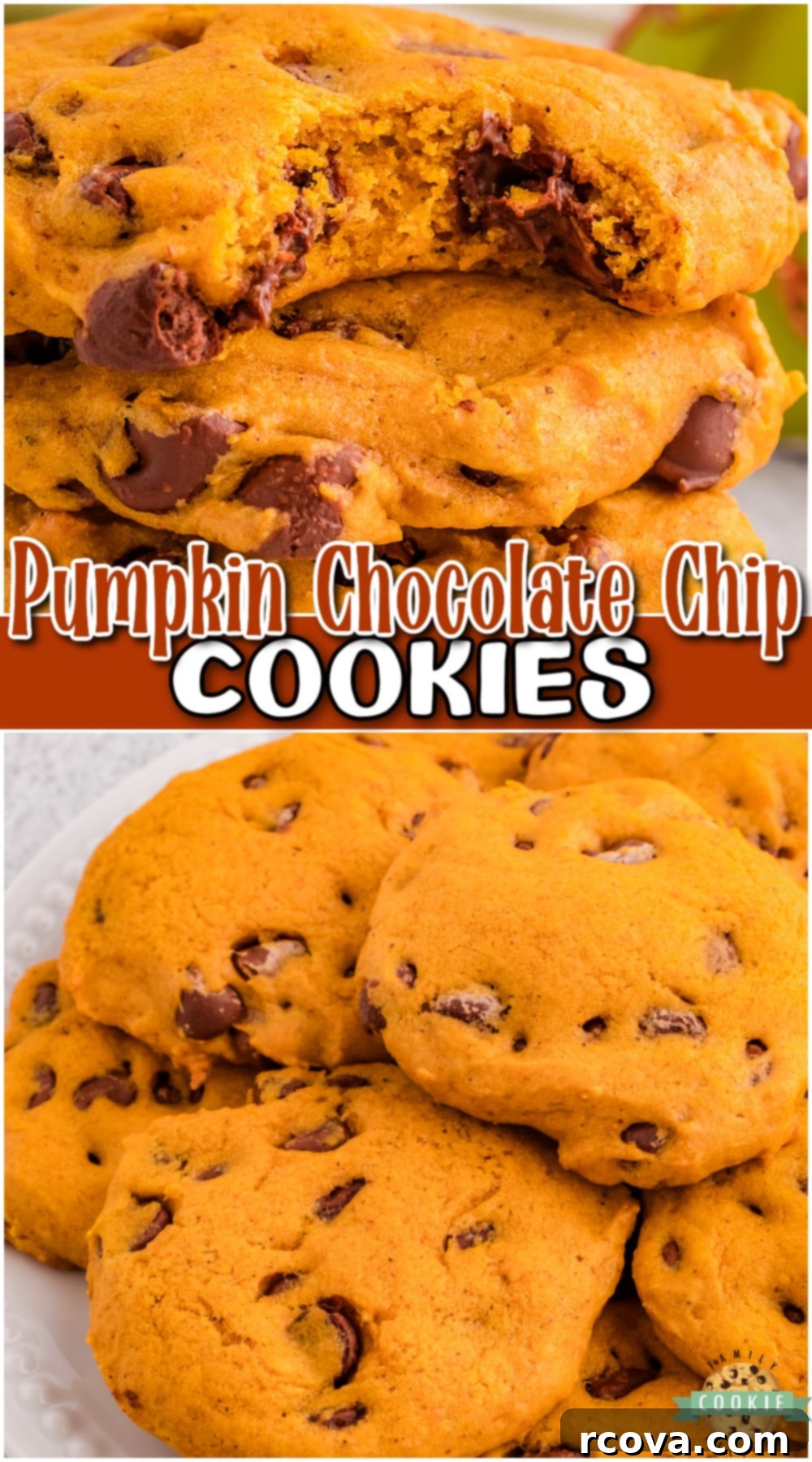 Pumpkin Spice Chocolate Chip Cookie Bliss 13 A vertical image of Spiced Pumpkin Chocolate Chip Cookies, highlighting the blend of pumpkin and fall spices for soft, pillowy cookies made with classic ingredients.