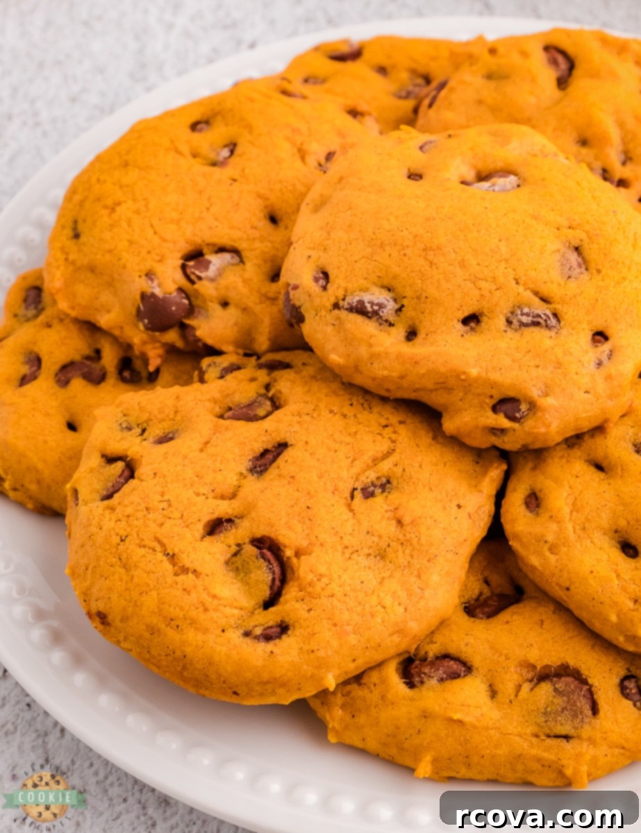 Pumpkin Spice Chocolate Chip Cookie Bliss 3 A plate piled high with freshly baked chocolate chip pumpkin cookies, ready to be enjoyed.