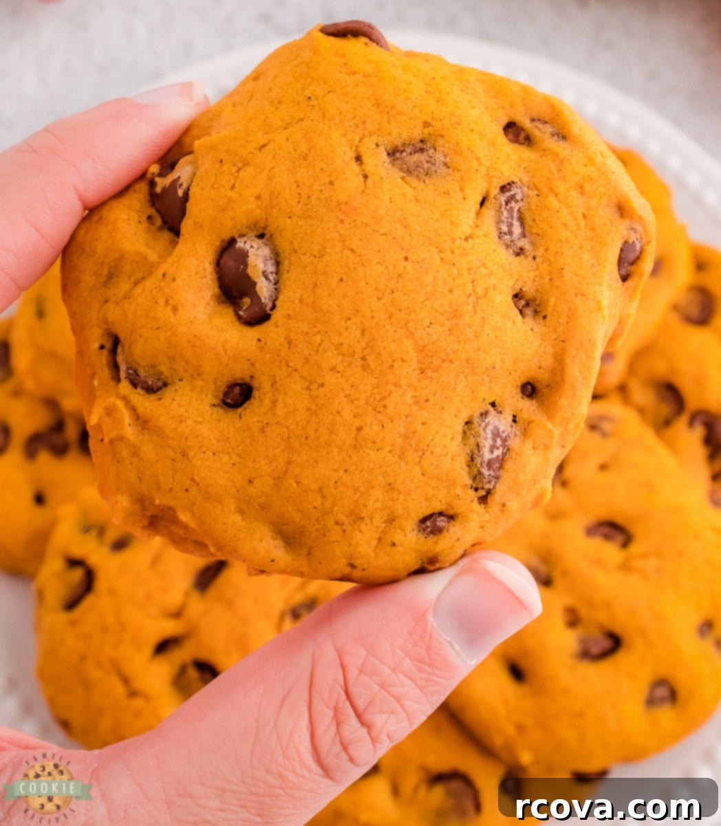 Pumpkin Spice Chocolate Chip Cookie Bliss 4 A hand holding up a single, perfectly baked pumpkin chocolate chip cookie, showcasing its soft texture.