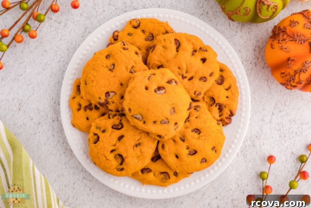 Pumpkin Spice Chocolate Chip Cookie Bliss 5 A charming plate adorned with pumpkin cookies featuring delicious chocolate chips, ready for a fall snack.