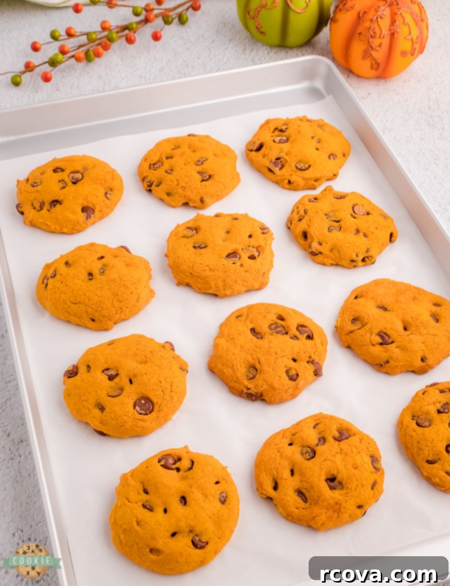 Pumpkin Spice Chocolate Chip Cookie Bliss 7 A stack of freshly baked pumpkin chocolate chip cookies, still warm from the oven.