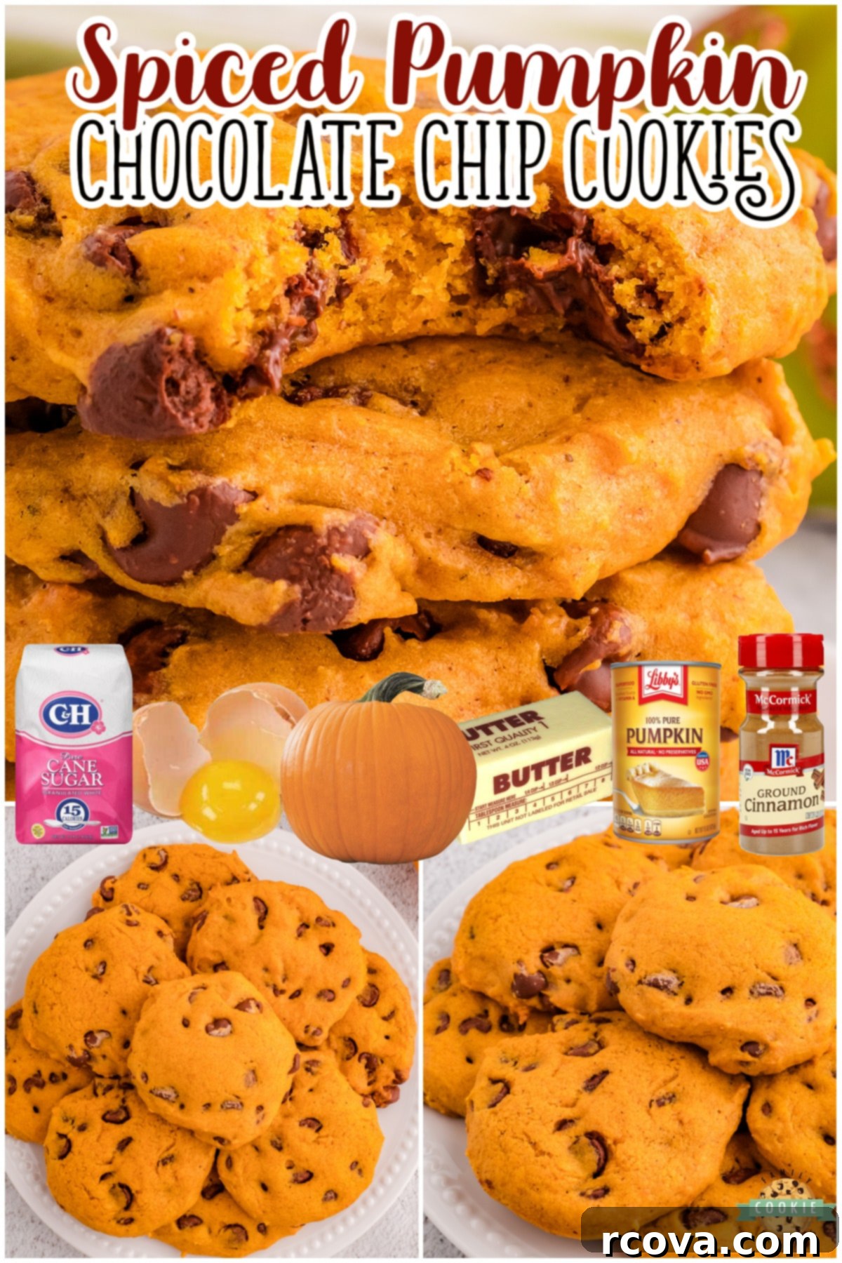 Pumpkin Spice Chocolate Chip Cookie Bliss 8 Spiced Pumpkin Chocolate Chip Cookies, featuring pumpkin and a delightful blend of fall spices, are soft, pillowy, and made with classic ingredients.