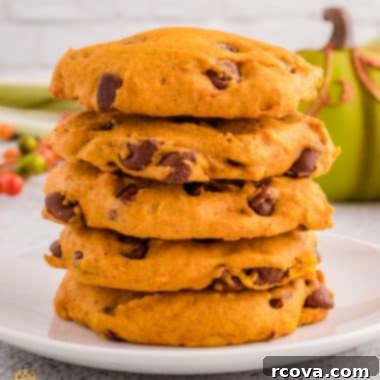 Pumpkin Spice Chocolate Chip Cookie Bliss 9 A delicious stack of pumpkin cookies, showing off their perfect round shape and soft texture.