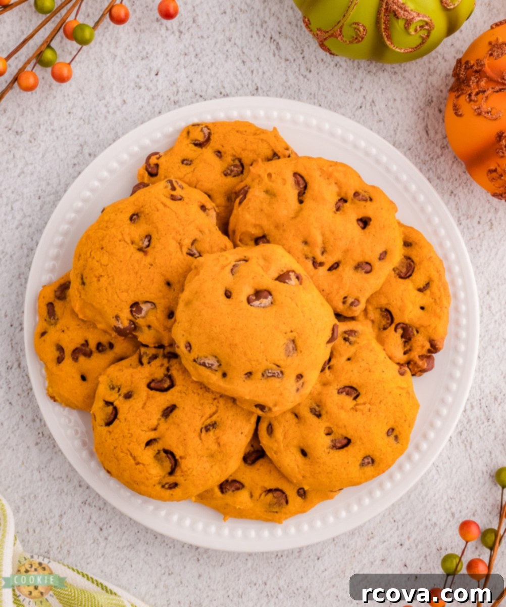 Pumpkin Spice Chocolate Chip Cookie Bliss 10 A close-up shot of homemade spiced pumpkin chocolate chip cookies, with visible spices and chocolate.