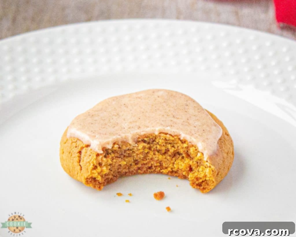Sugared Ginger Molasses Chewies 3 bite into a ginger molasses cookie