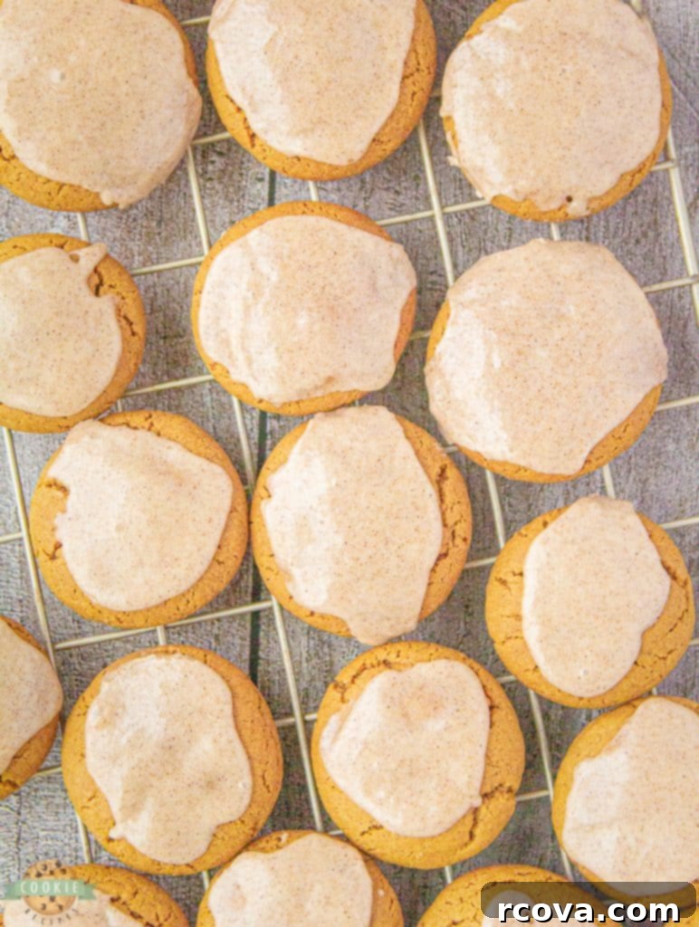 Sugared Ginger Molasses Chewies 6 ginger molasses cookies on a cooling rack