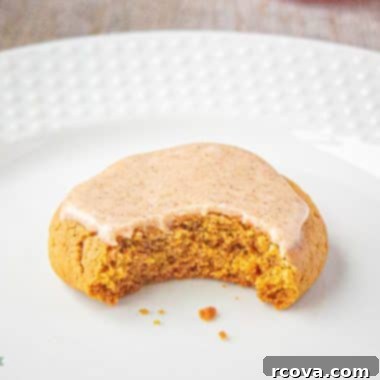 Sugared Ginger Molasses Chewies 9 bite into a ginger molasses cookie