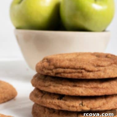 Spiced Apple Snickerdoodle Cookies 6 Delicious Apple Snickerdoodle Cookies