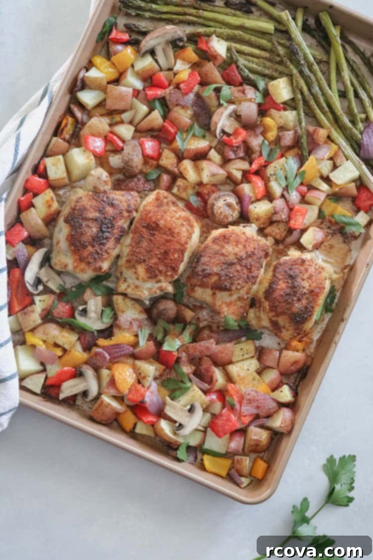 Smoky Paprika Sheet Pan Chicken 3 Close-up of roasted paprika chicken and vegetables, seasoned and ready for the oven