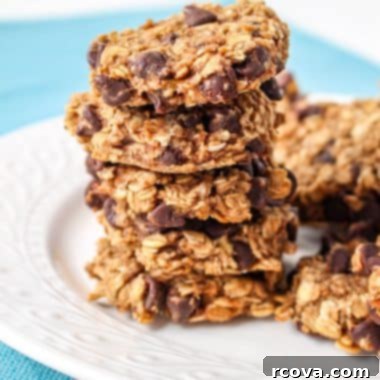 Sunrise Banana Oat Cookies 6 Oatmeal Banana Breakfast Cookies: Your new favorite healthy and easy breakfast treat, packed with flavor and nutritious ingredients.
