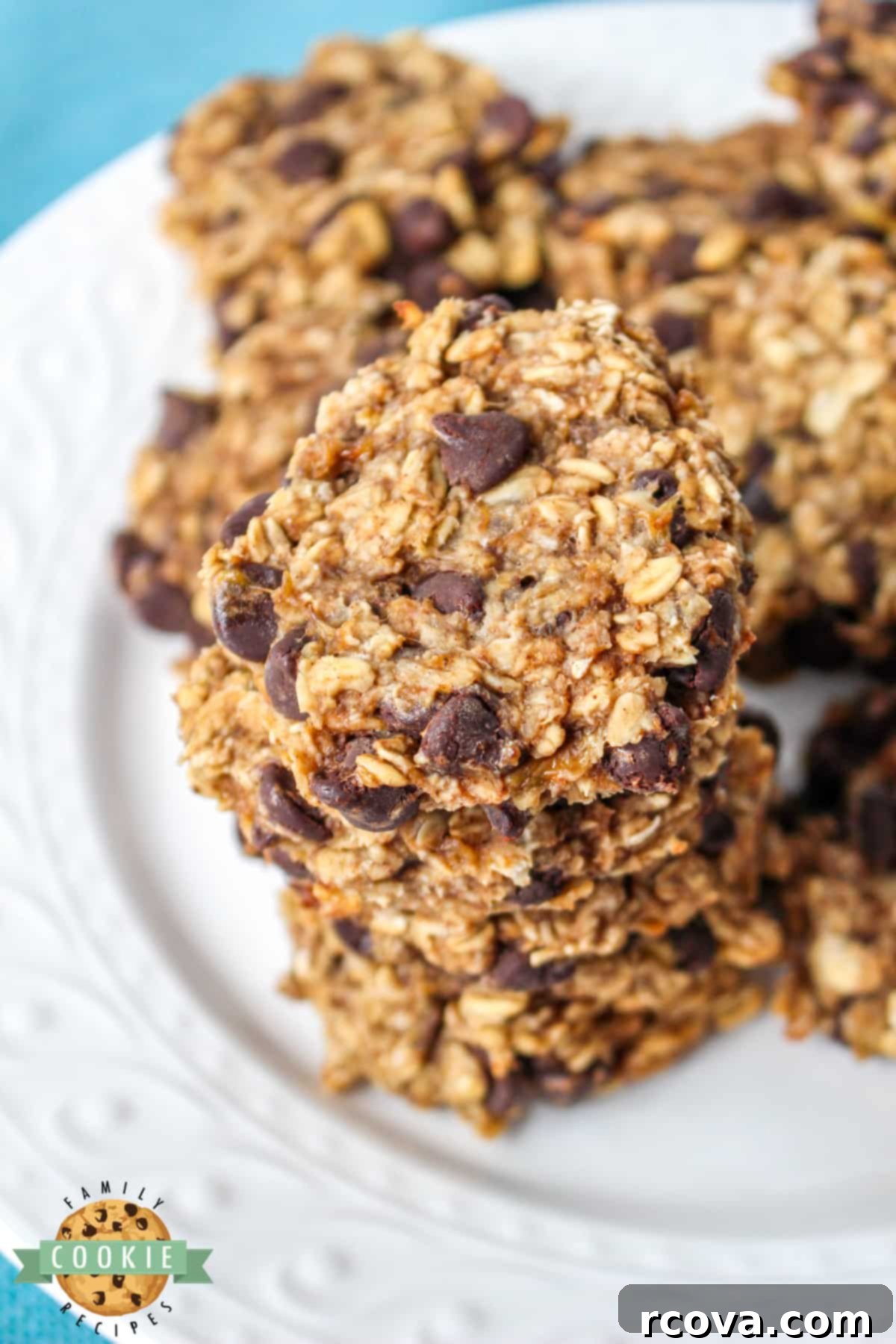 Sunrise Banana Oat Cookies 7 Healthy cookies made with oats and bananas, showcasing their wholesome texture and appeal.