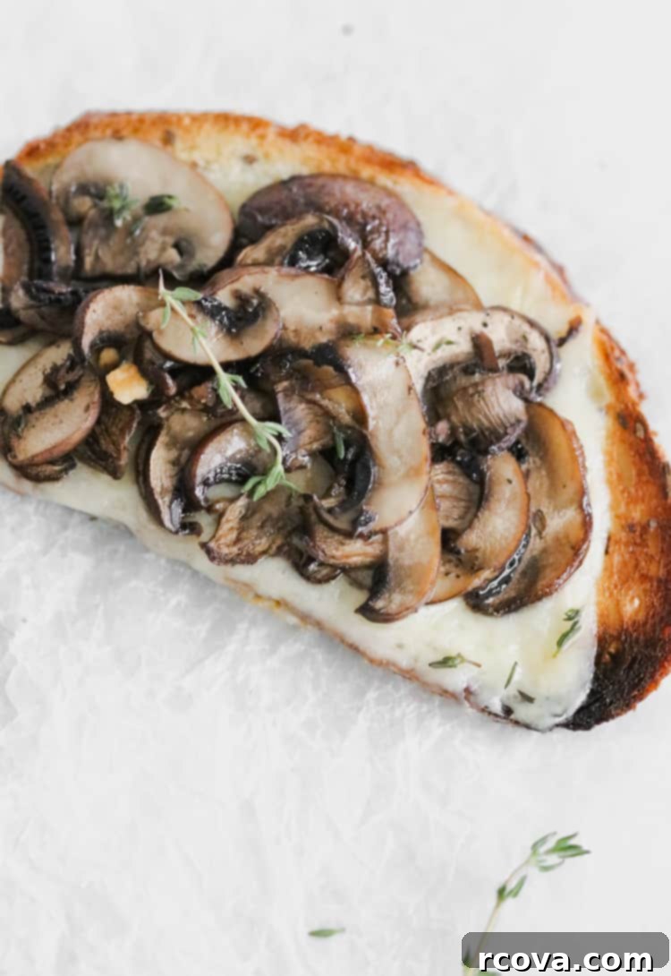 Roasted Mushroom & Melty Fontina Tartine 3 roasted mushroom tartine with fontina cheese