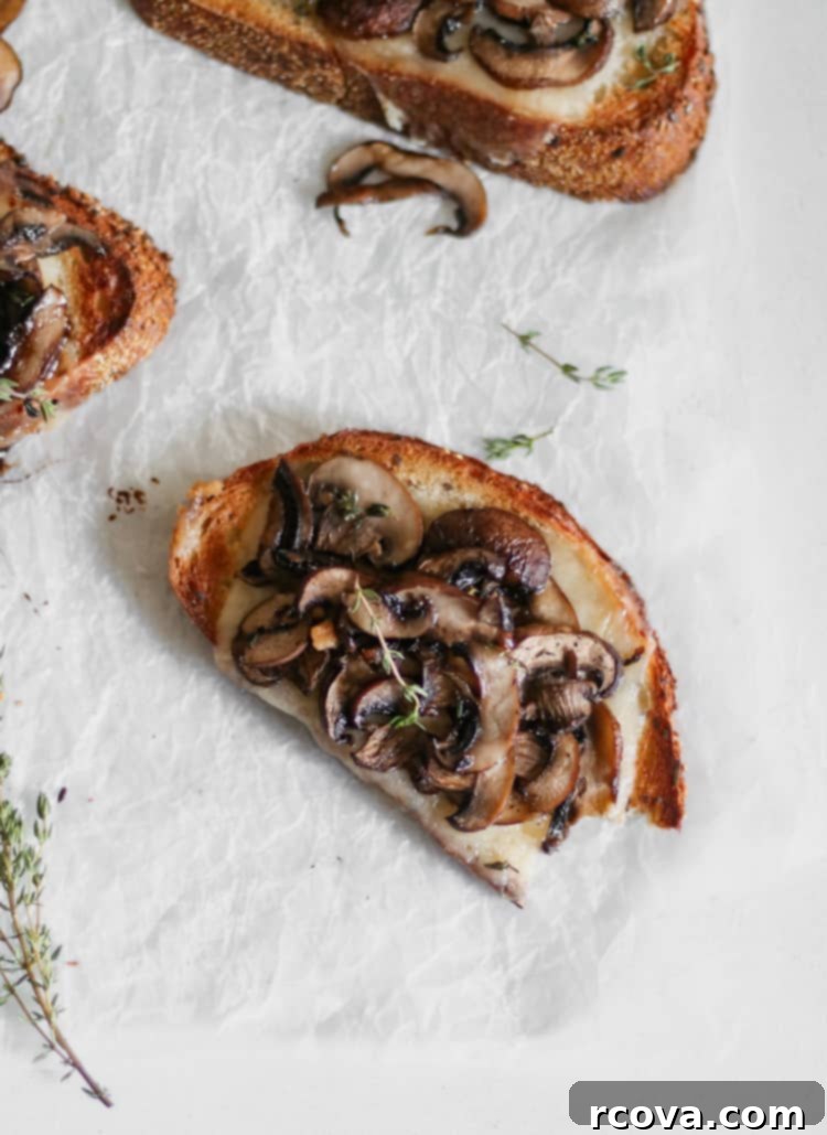 Roasted Mushroom & Melty Fontina Tartine 5 roasted mushroom tartine with fontina cheese