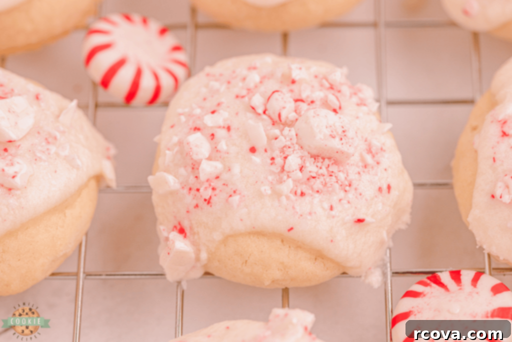 Holiday Cookie Magic: Recipes for Festive Cheer 11 Peppermint Vanilla Shortbread Cookies with glaze